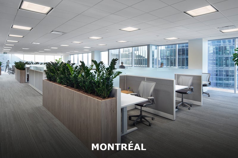 https://files.sovereigninsurance.ca/MediaGroupings/32/Montreal2.jpg