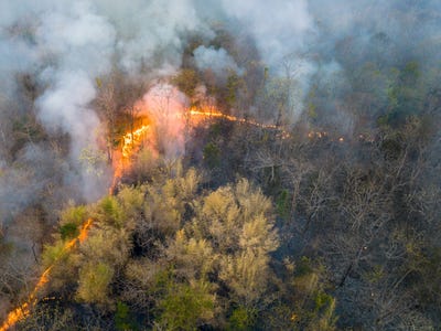 An aerial view of a wildfire