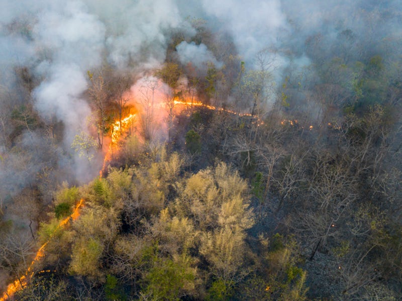 An aerial view of a wildfire